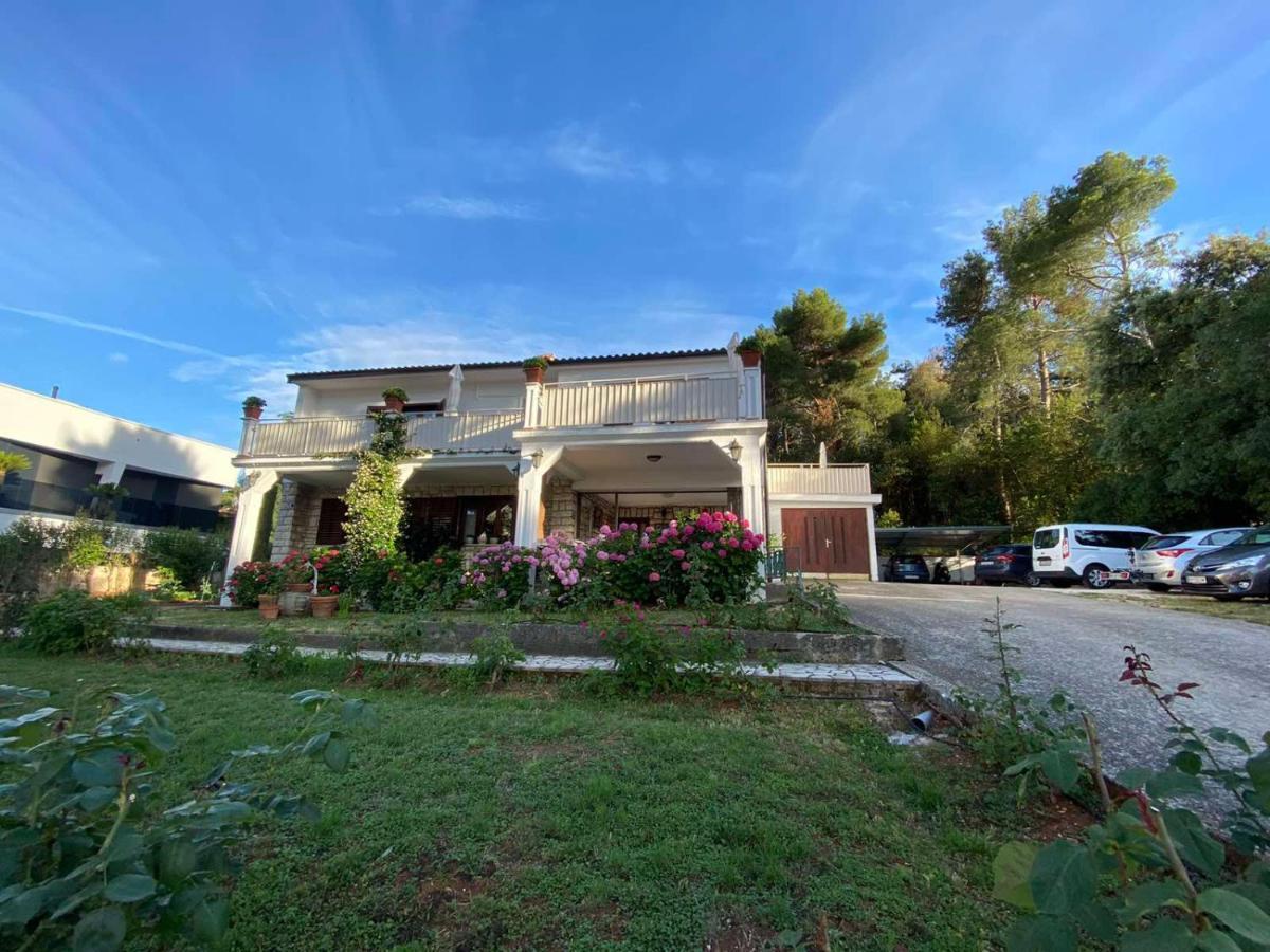 روفينج Villa Matohanca المظهر الخارجي الصورة